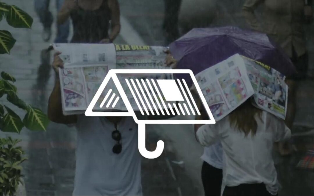 우산겸용 신문 Umbrella Newspaper Direct