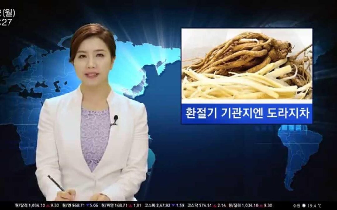 맑은하늘 도라지