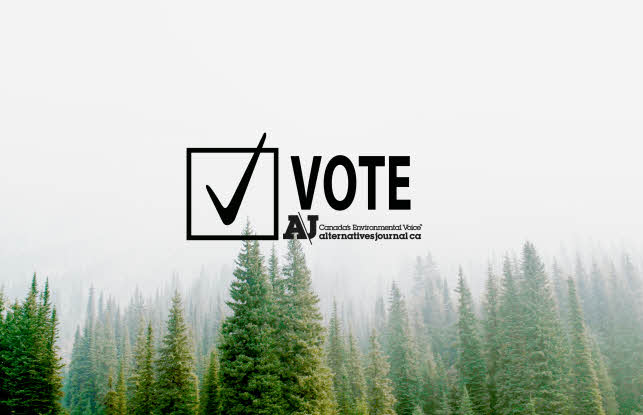 환경보호 후보 지지 캠페인