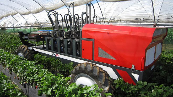 자동 딸기 수확 로봇, 애그로봇 SW 6010