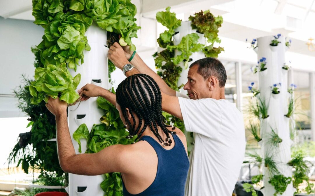 식물 재배를 통한 교육, 그린 브롱스 머신 프로젝트
