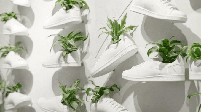 버섯으로 만들어진 Adidas 의 친환경 비건 신발