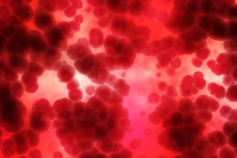blood