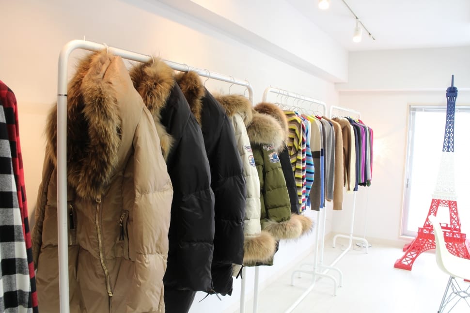 coat-fur