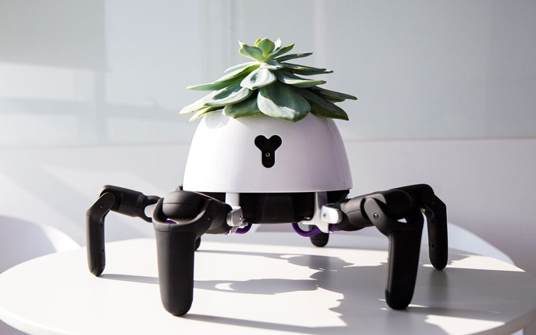 움직이는 반려 식물 로봇 Hexa