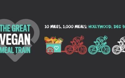 코로나로 고통받는 이들에게 비건 식사를 제공하는 The Great Vegan Meal Train