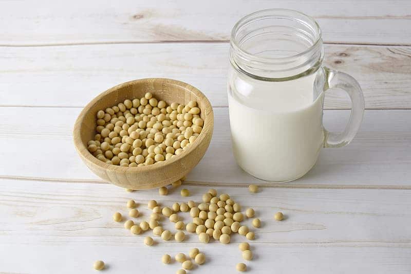 soybean-milk