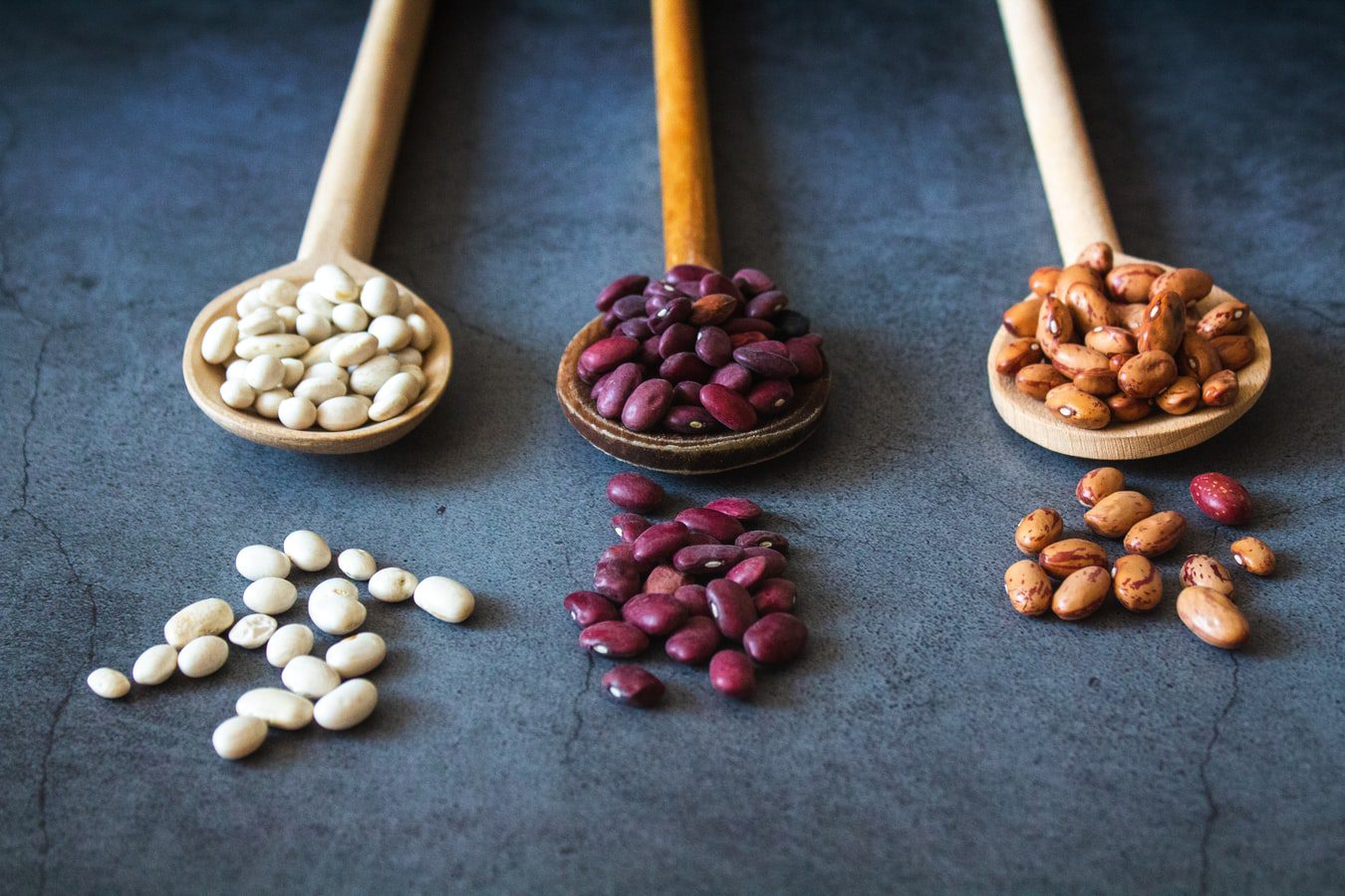 soybean