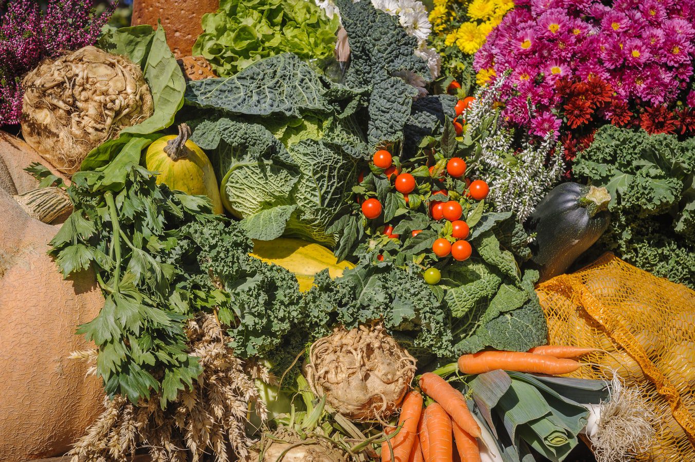 veg_7