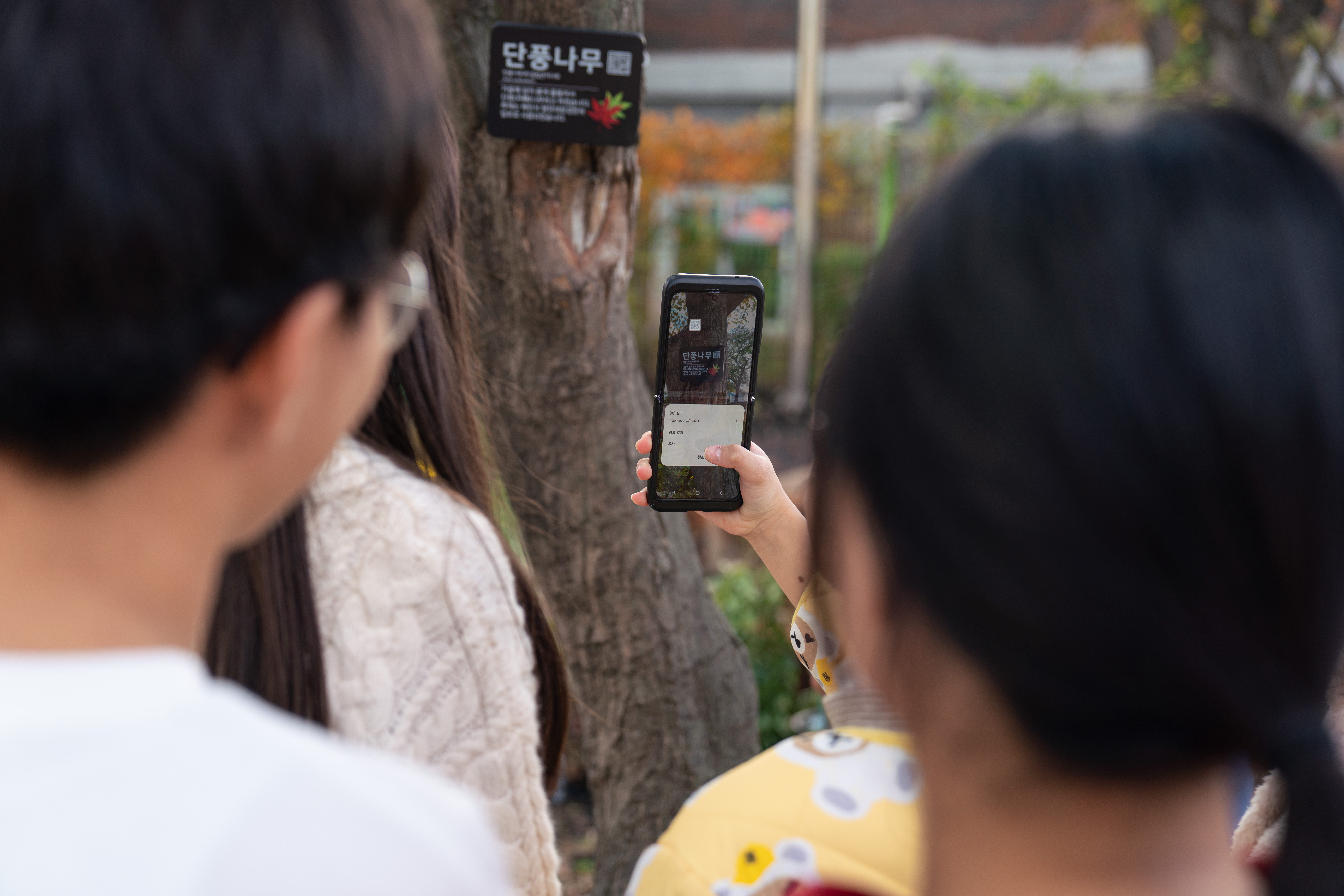 홍은초등학교 학교숲 포르쉐 드림 서클 홍은초등학교 학교숲 포르쉐 드림 서클