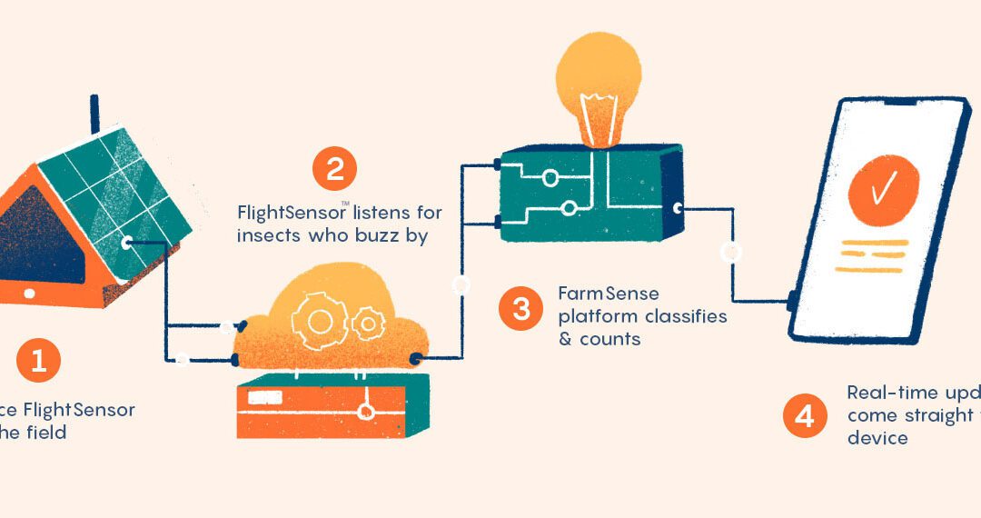 해충을 식별하고 작물 관리를 돕는 AI 해충 모니터링 시스템, Smart Trap