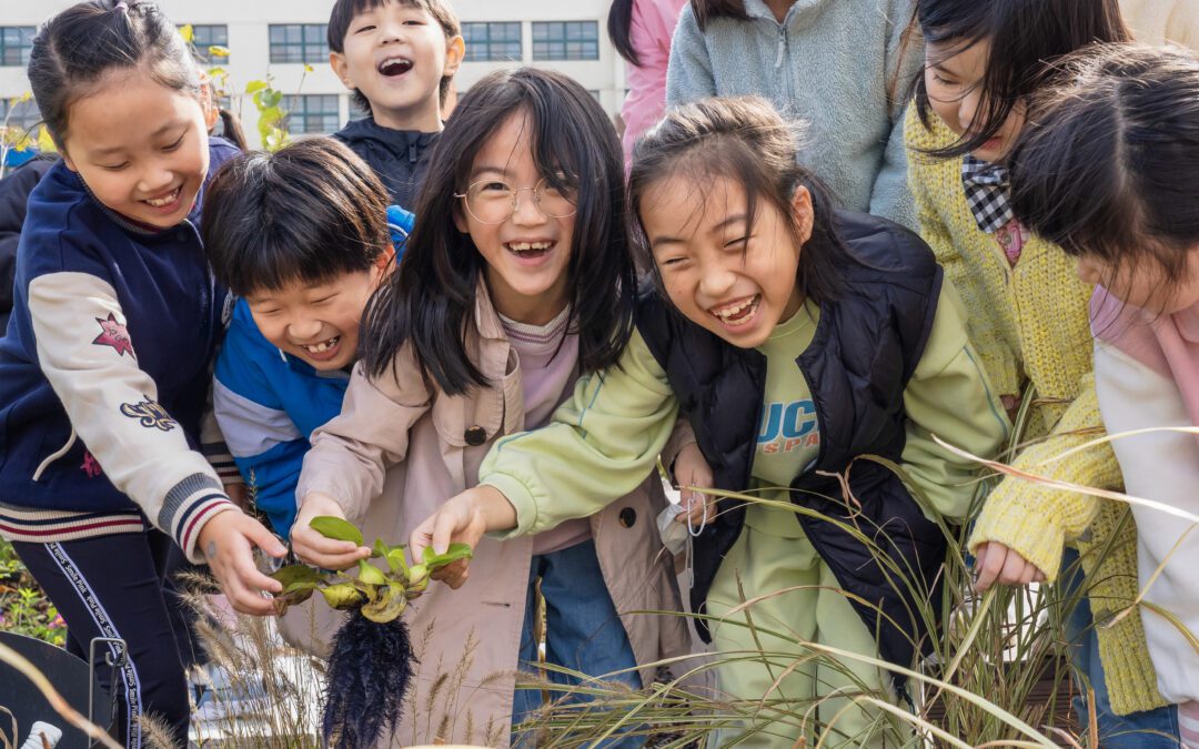 Big Wave Green — 아이들이 직접 만들고 돌보는 학교숲