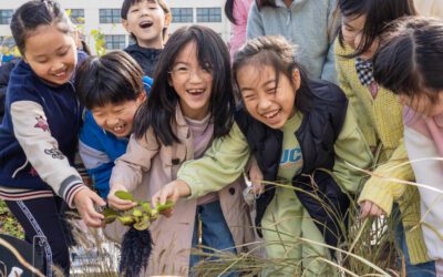 Big Wave Green — 아이들이 직접 만들고 돌보는 학교숲